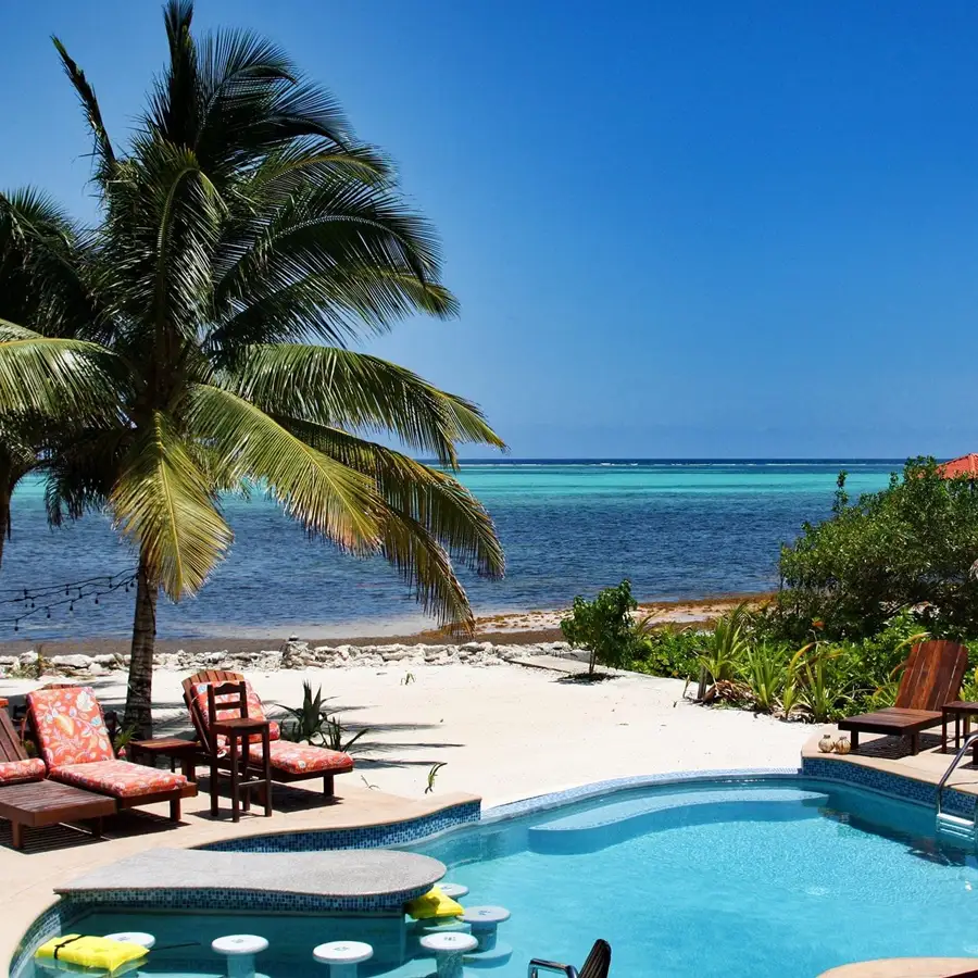 Pool in foreground with wood lounge chairs, large palm tree, with beach and brilliant blue ocean behind and cloudless blue sky above